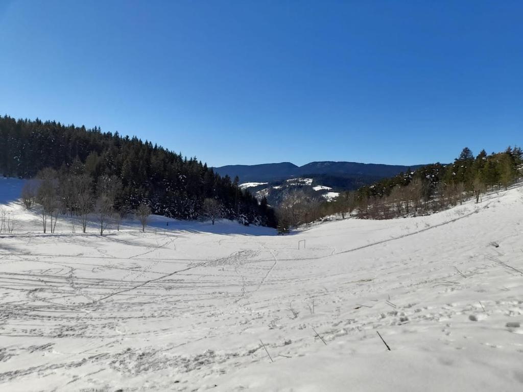 Les Glovettes Villard De Lans ภายนอก รูปภาพ