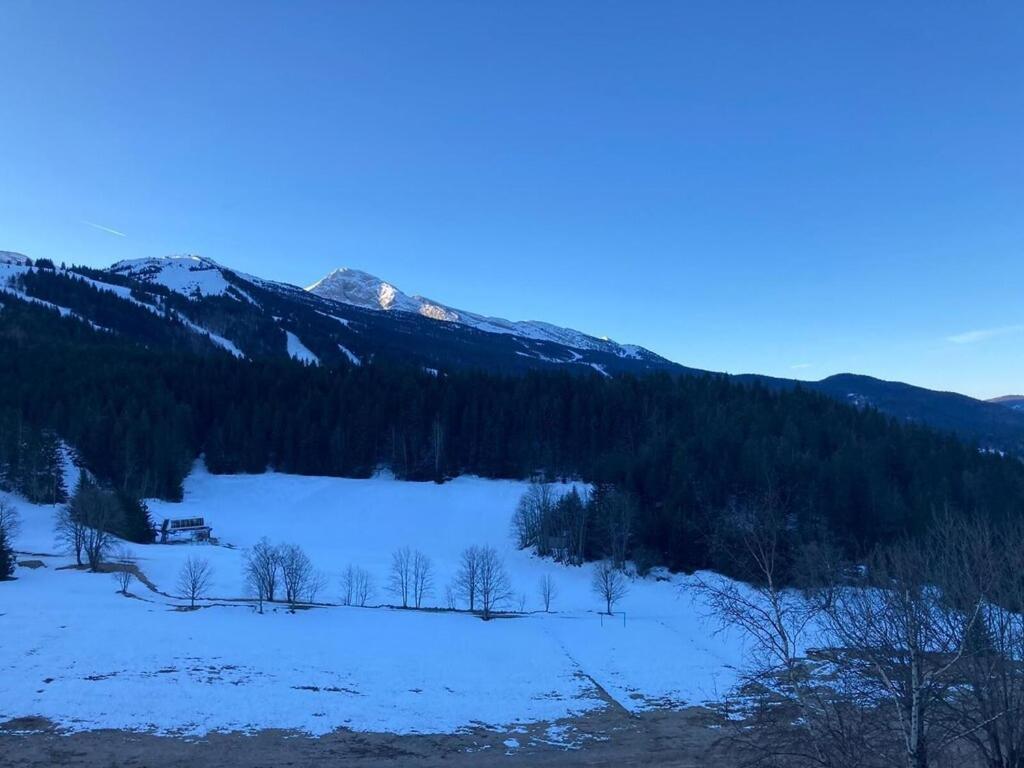 Les Glovettes Villard De Lans ภายนอก รูปภาพ